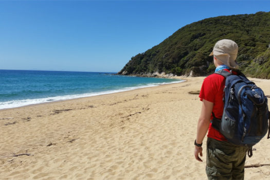 Abel Tasman Coastal Track