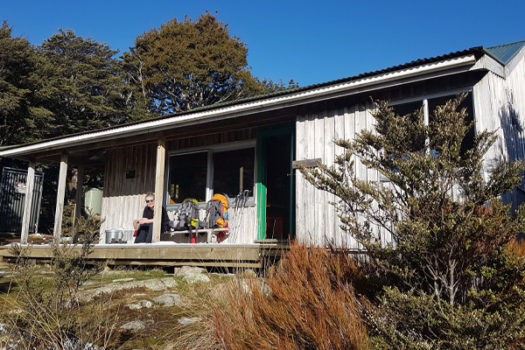 Cobb Valley Walk, Kahurangi National Park