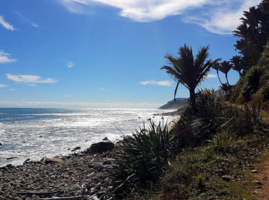 The Heaphy Track