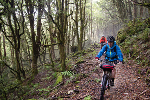 The Old Ghost Road - Photo: David Chadwick