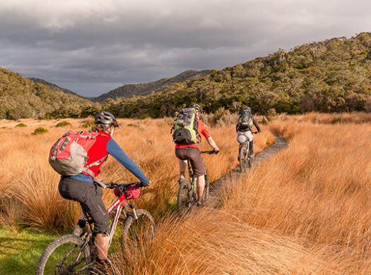 The Heaphy Track Bikers. Photo: David Chadwick